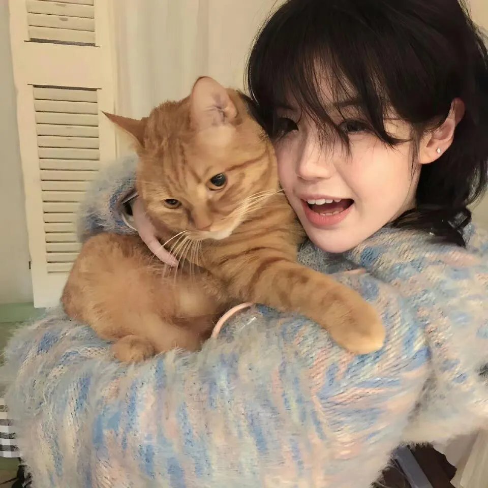 致我的陌生恋人